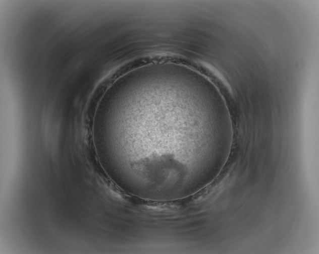 X0000115800823200911201356