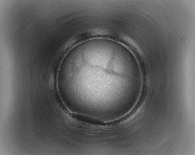 X0000115800825200911201356