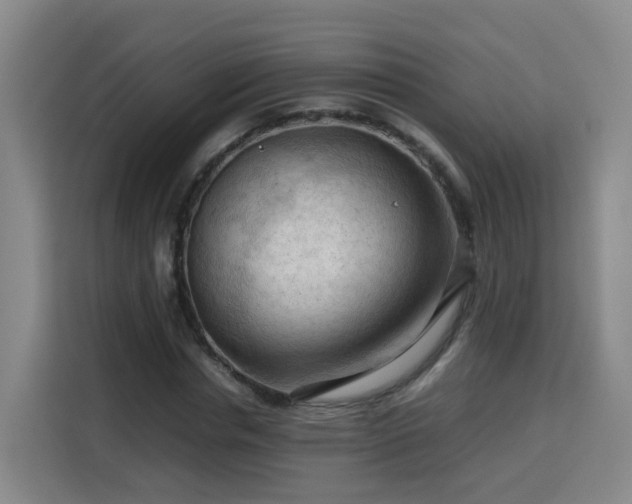 X0000115800826200911201356