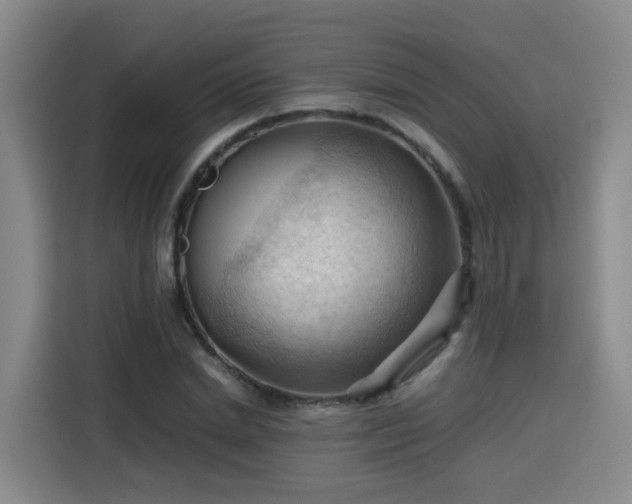 X0000115800830200911201356