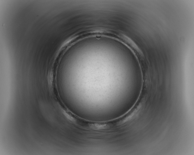 X0000115800831200911201356