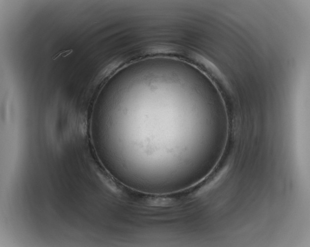 X0000115800833200911201356