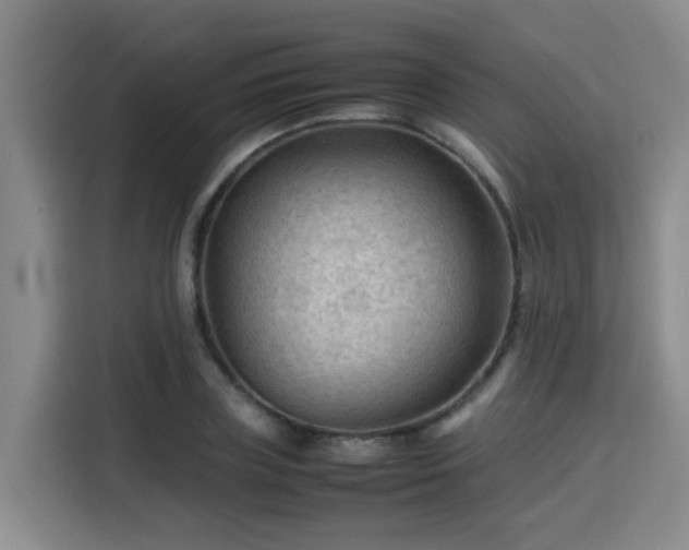 X0000115800835200911201356