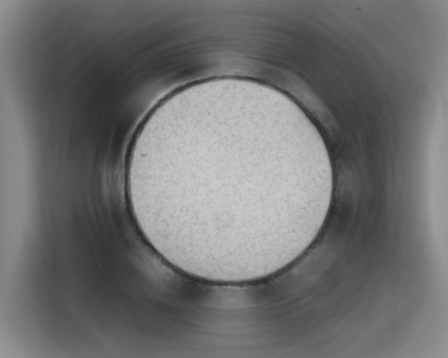 X0000115800836200911201356