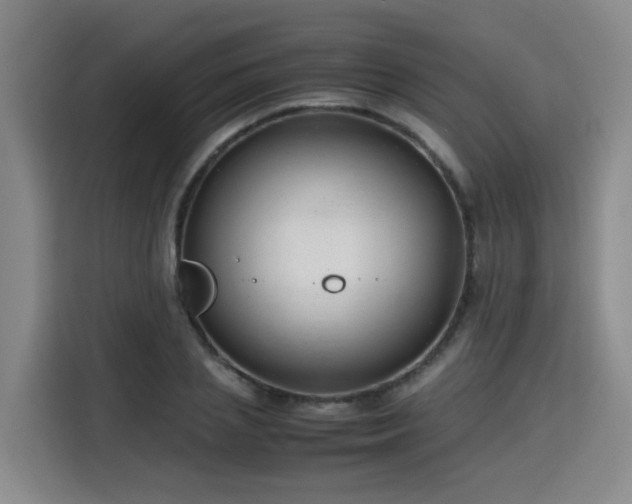 X0000115800837200911201356