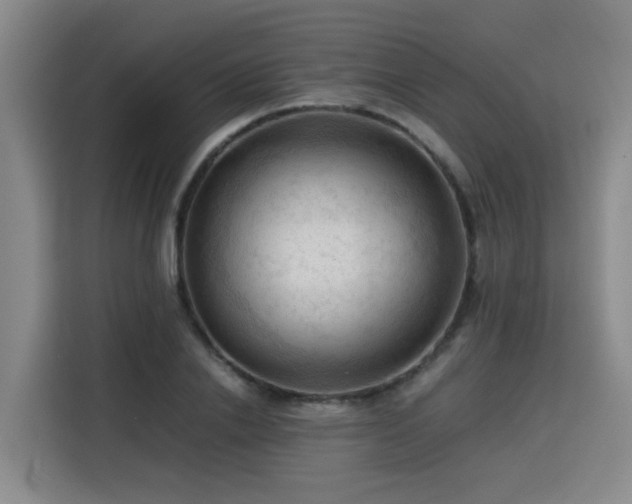X0000115800838200911201356