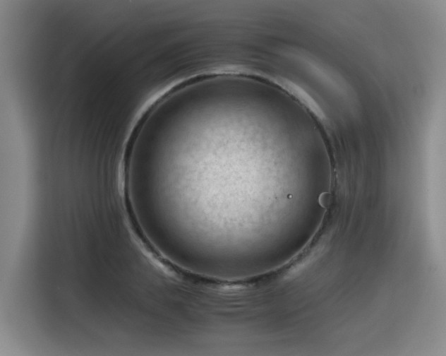 X0000115800839200911201356