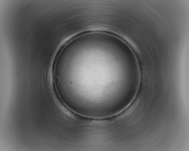 X0000115800840200911201356