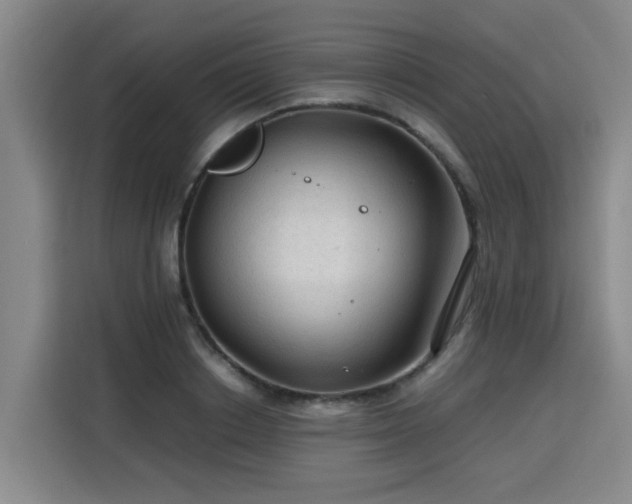 X0000115800842200911201356