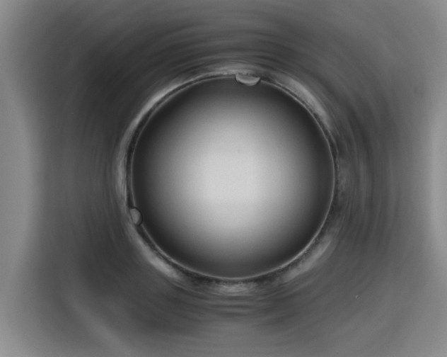 X0000115800843200911201356