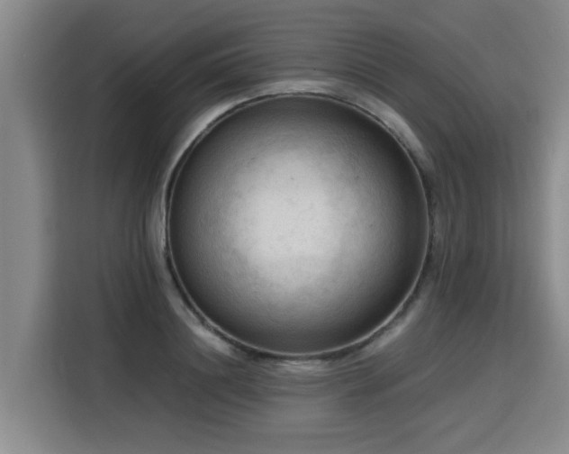 X0000115800844200911201356