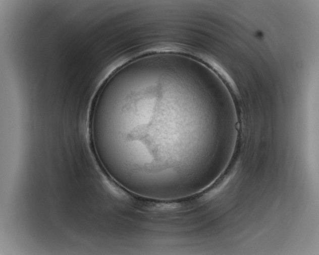 X0000115800845200911201356