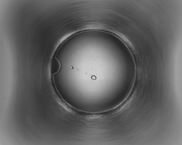 X0000115800846200911201356
