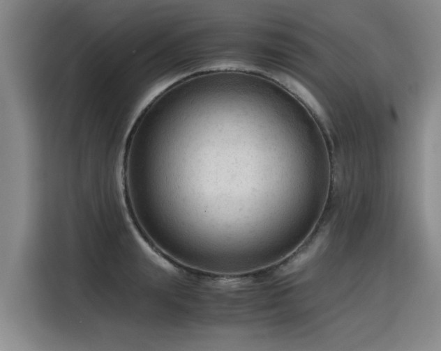 X0000115800847200911201356