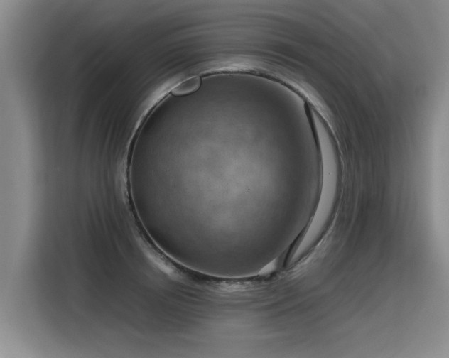X0000115800850200911201356