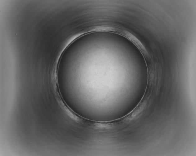 X0000115800852200911201356