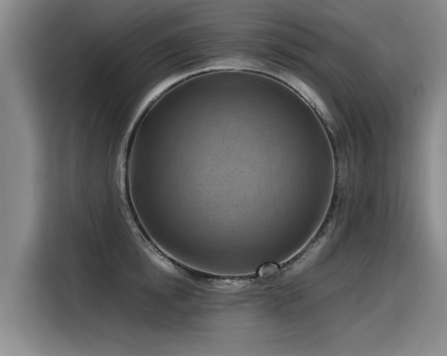 X0000115800854200911201356