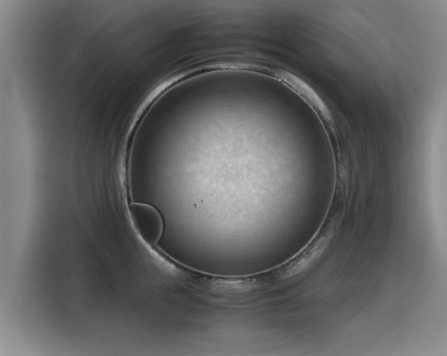 X0000115800855200911201356