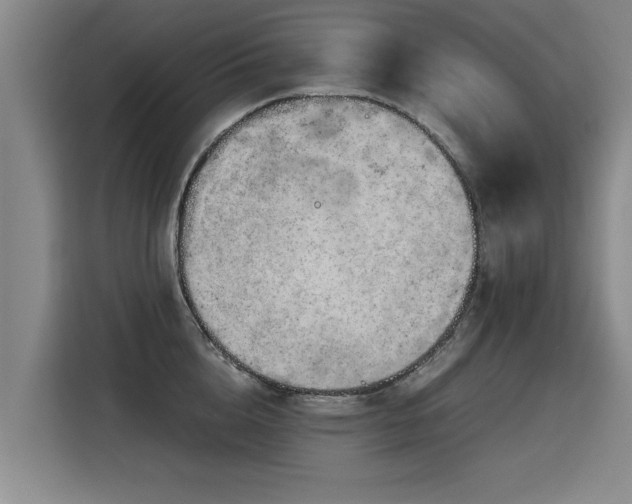 X0000115800856200911201356