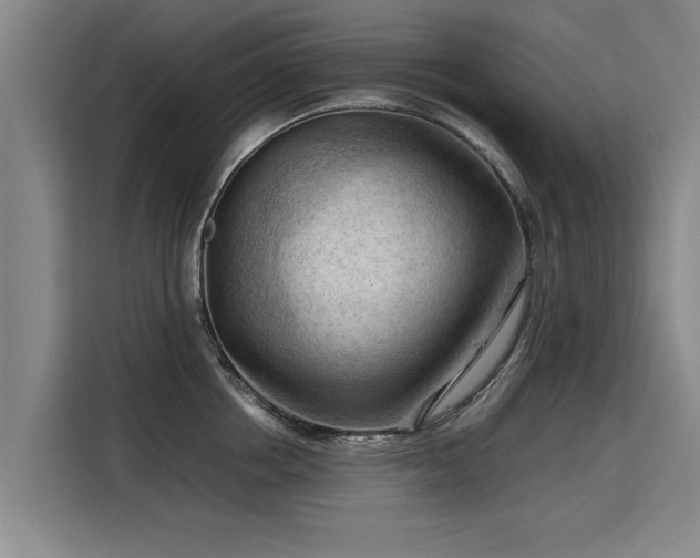 X0000115800858200911201356