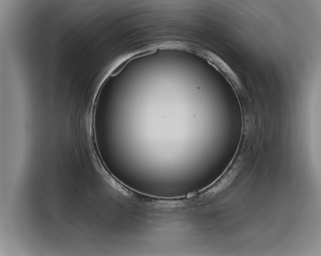 X0000115800860200911201356