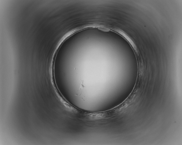 X0000115800861200911201356