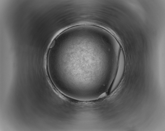 X0000115800862200911201356