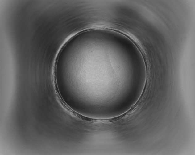X0000115800864200911201356