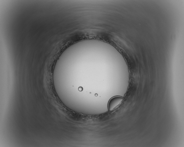 X0000115800865200911201356