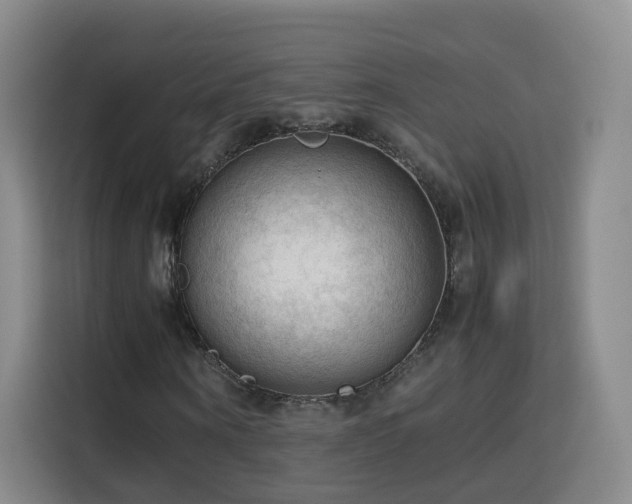 X0000115800866200911201356