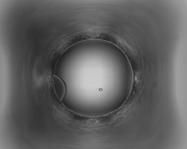 X0000115800867200911201356
