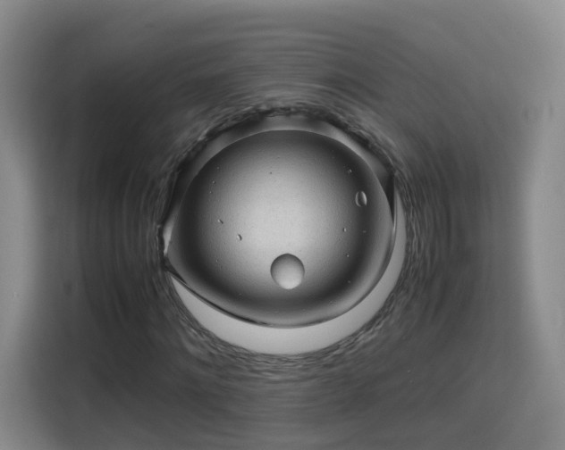 X0000115800868200911201356