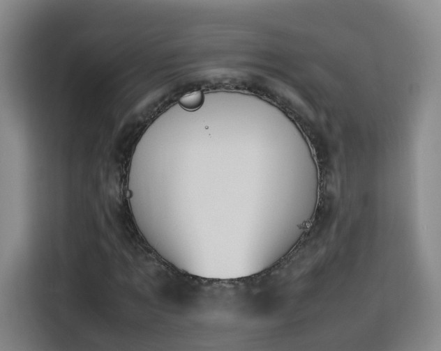 X0000115800869200911201356