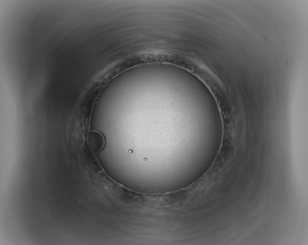X0000115800870200911201356