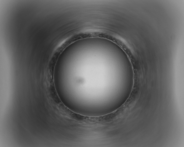 X0000115800871200911201356