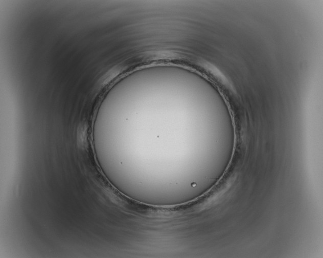 X0000115800873200911201356