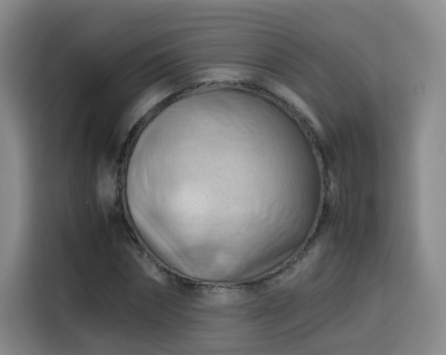 X0000115800874200911201356