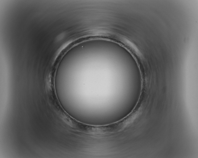 X0000115800875200911201356