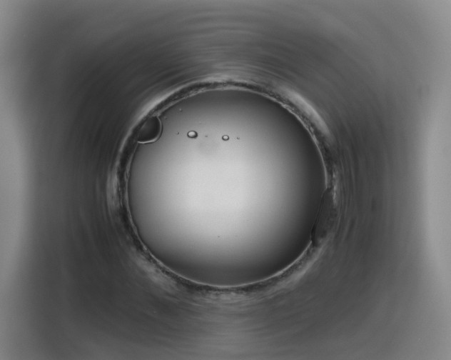 X0000115800876200911201356