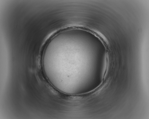 X0000115800878200911201355