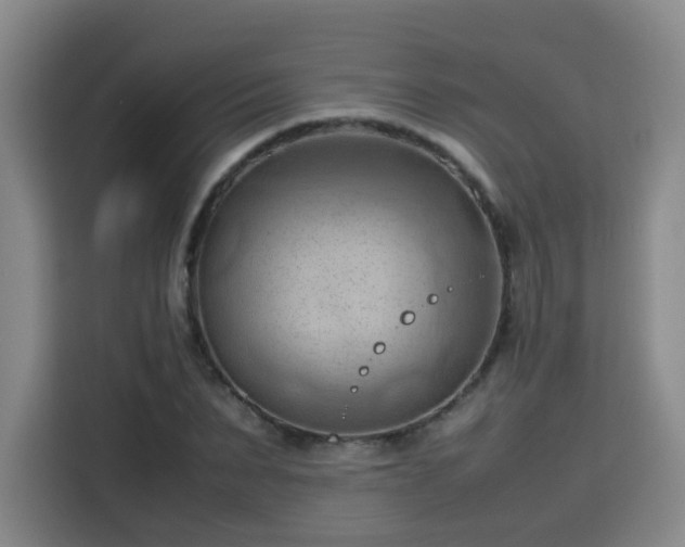 X0000115800879200911201355