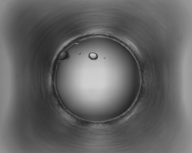 X0000115800880200911201355