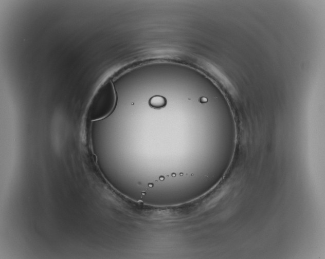 X0000115800883200911201355