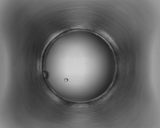X0000115800884200911201355