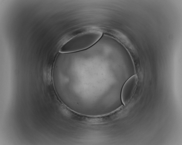 X0000115800889200911201355