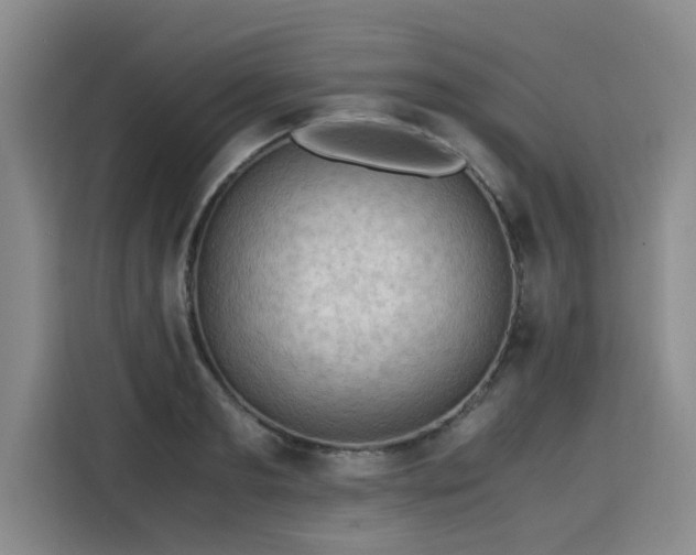X0000115800893200911201355