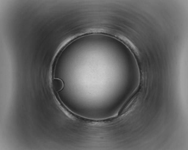 X0000115800894200911201355