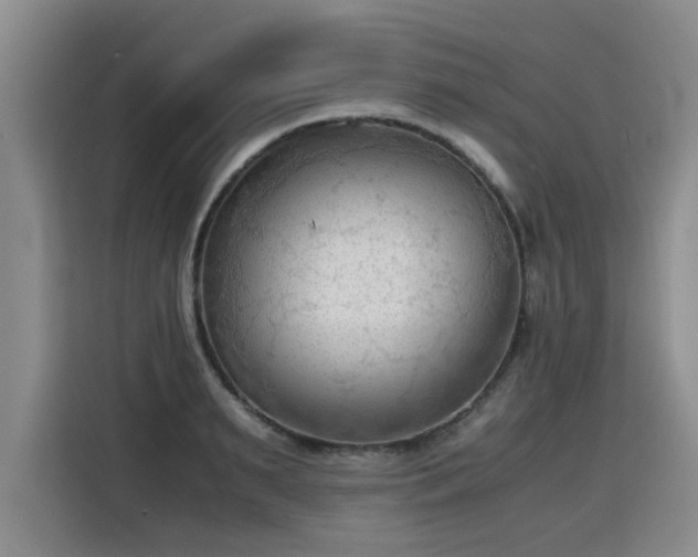 X0000115800895200911201355