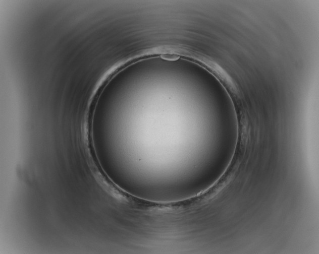 X0000115800896200911201355