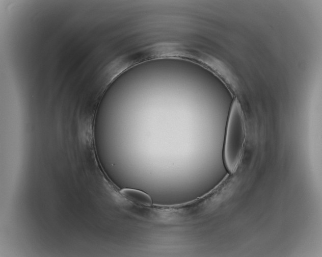 X0000115800897200911201355